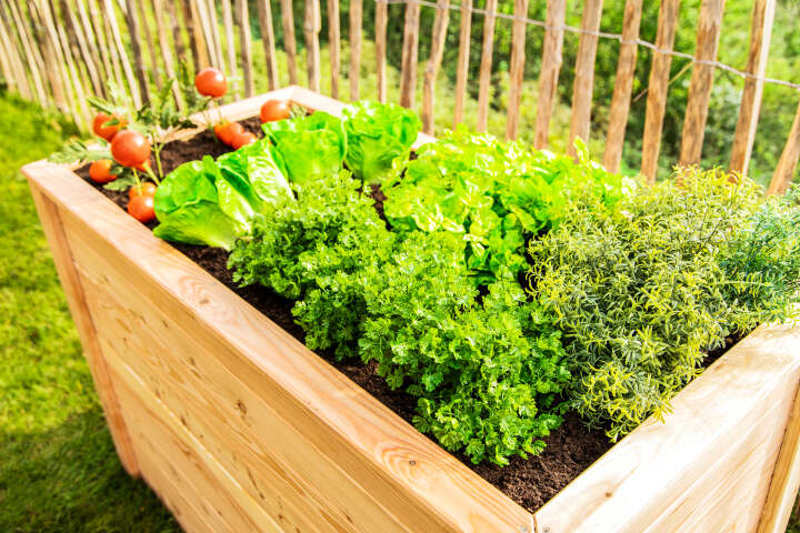 WESTMANN Hochbeet Klassik